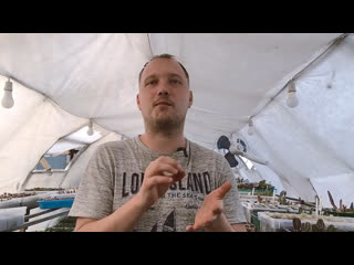 Как бороться с болезнями кактусов и сукуулетов? Как бороться с болезнями кактусов и сукуулетов?