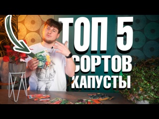 ТОП 5 Сортов капусты, которые завалят вас урожаем ! Сорта для квашения капусты