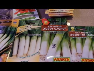 Обзор сортов и посев семян лука порей