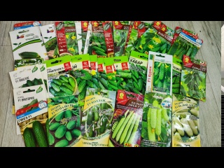 Выбираем ОГУРЦЫ на НОВЫЙ СЕЗОН, как правильно выбрать для теплицы и Открытого грунта