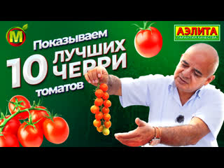 10 ЛУЧШИХ ТОМАТОВ ЧЕРРИ! Большой обзор красивых и урожайных сортов. Секреты выращивания.