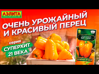КРУПНОПЛОДНЫЙ ЖЕЛТЫЙ СЛАДКИЙ ПЕРЕЦ из серии СУПЕРХИТ 21 века!