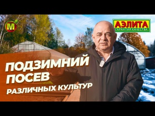 ПОДЗИМНИЙ ПОСЕВ. Что посеять под зиму?