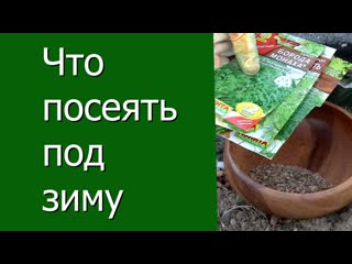 Что посеять под зиму