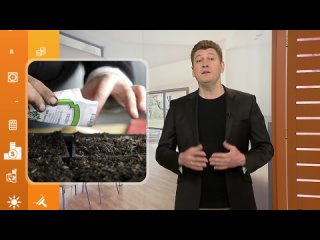 Как выбрать семена. Полезно знать