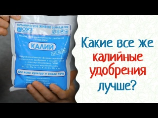 Калийные удобрения — мягкие, не обжигают корни. Гуми-Оми Калий.