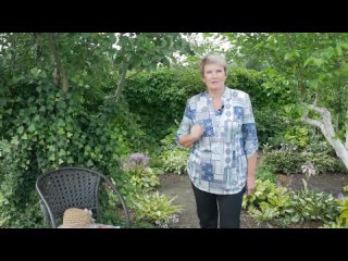 Прививка деревьев почкой. Окулировка для новичков.