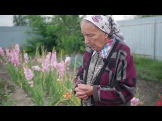 Вредители малины. Чем обработать малину от вредителей