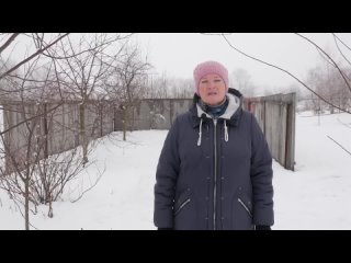 Черенки для прививки. Как, когда и где срезать, заготовить черенки для прививки деревьев.