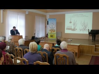 Размножения смородины. Как выбрать саженец смородины.