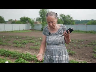 Болезни и вредители клубники. Все в одном видео диагностика, профилактика, борьба.