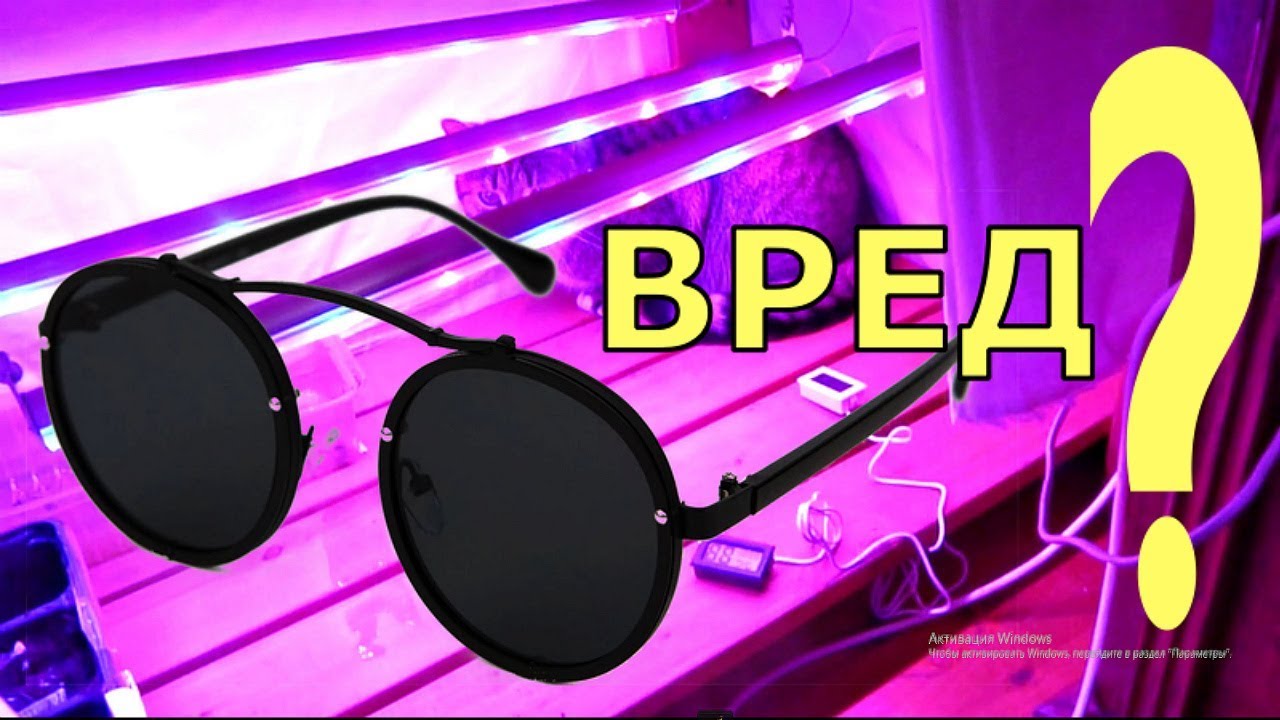 Есть ли ВРЕД ОТ ФИТОЛАМП?