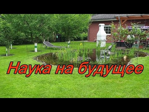 Наука на будущее