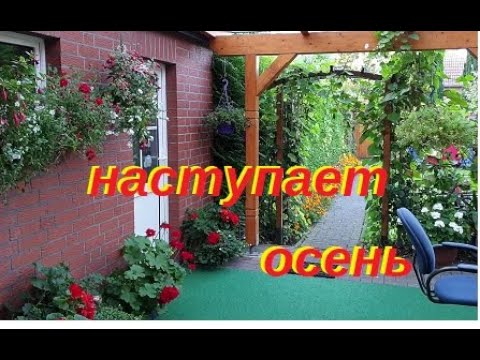 Осень на участке