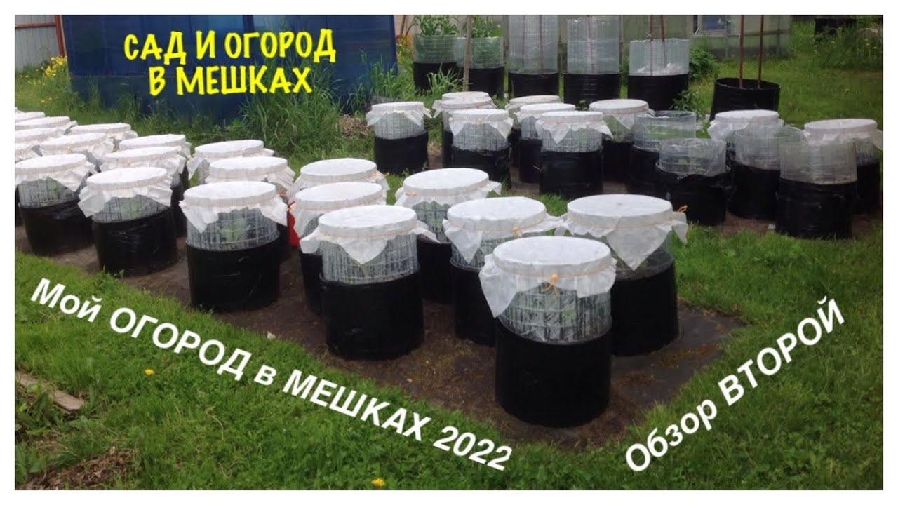 МОЙ ОГОРОД В МЕШКАХ 2022. Обзор №2.