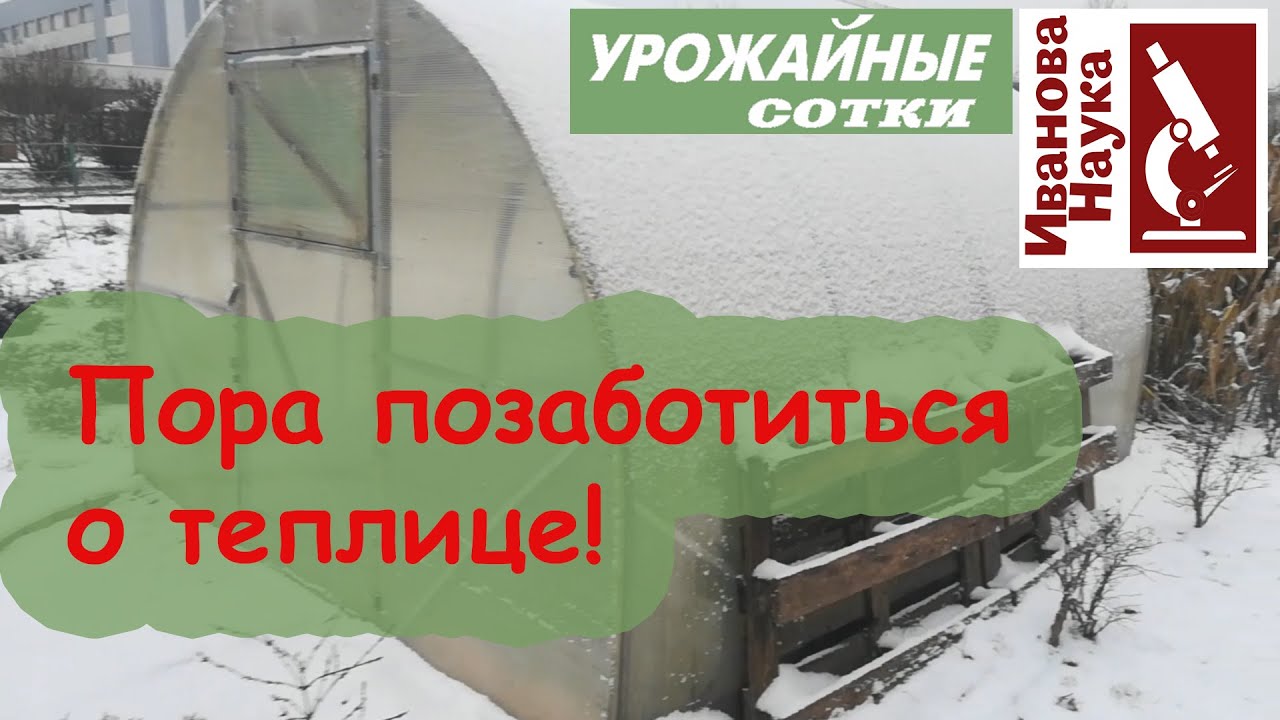 Стоит ли открывать в теплице двери? А заносить снег? Как ухаживать за теплицей зимой?