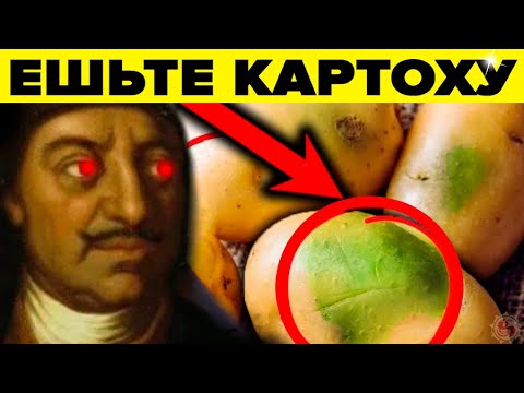 О вреде картофеля - 5 причин пересмотреть отношение к картошке