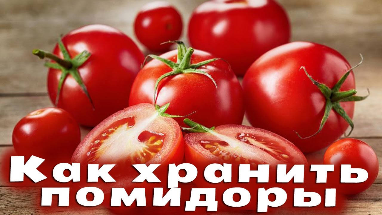 Как хранить помидоры