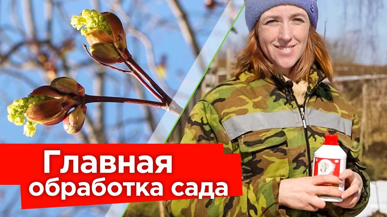 ПЕРВАЯ И ГЛАВНАЯ ОБРАБОТКА САДА ВЕСНОЙ! Мощный удар по вредителям и болезням деревьев и кустарников