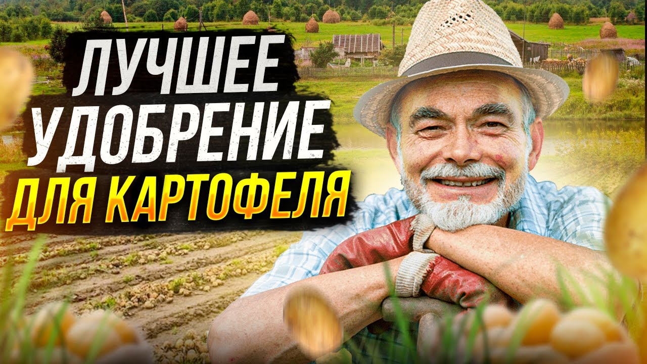 Как выбрать лучшее удобрение для картофеля?