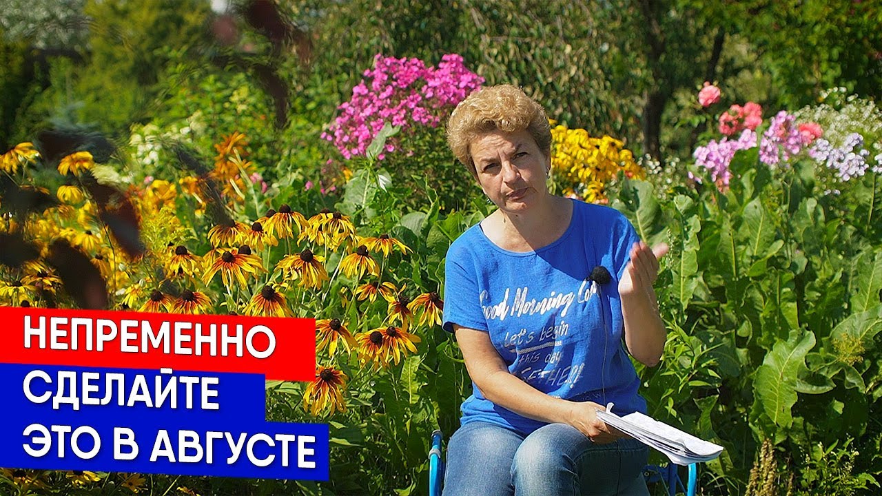 Непременно сделайте это в августе