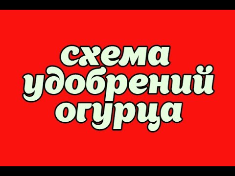 КОРНЕВАЯ ПОДКОРМКА ОГУРЦОВ МИНЕРАЛЬНЫМИ УДОБРЕНИЯМИ!