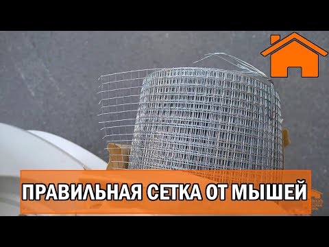 Почему только сварная дорогая сетка спасет от мышей?