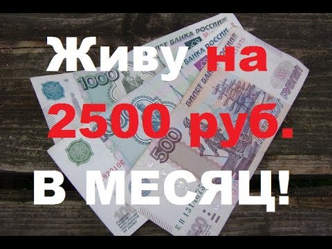 Как я живу в деревне на 2500 рублей в месяц