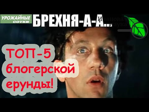 ТОП-5 БЛОГЕРСКОЙ ГЛУПОСТИ этой осени! Солепоклонники, слизегоны, бродильщики и содоводы