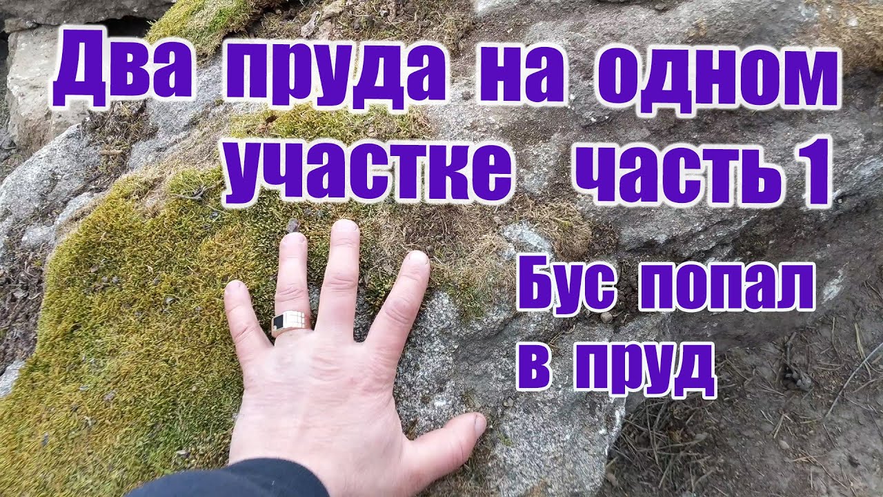 2 ПРУДА НА ОДНОМ УЧАСТКЕ ЧАСТЬ 1