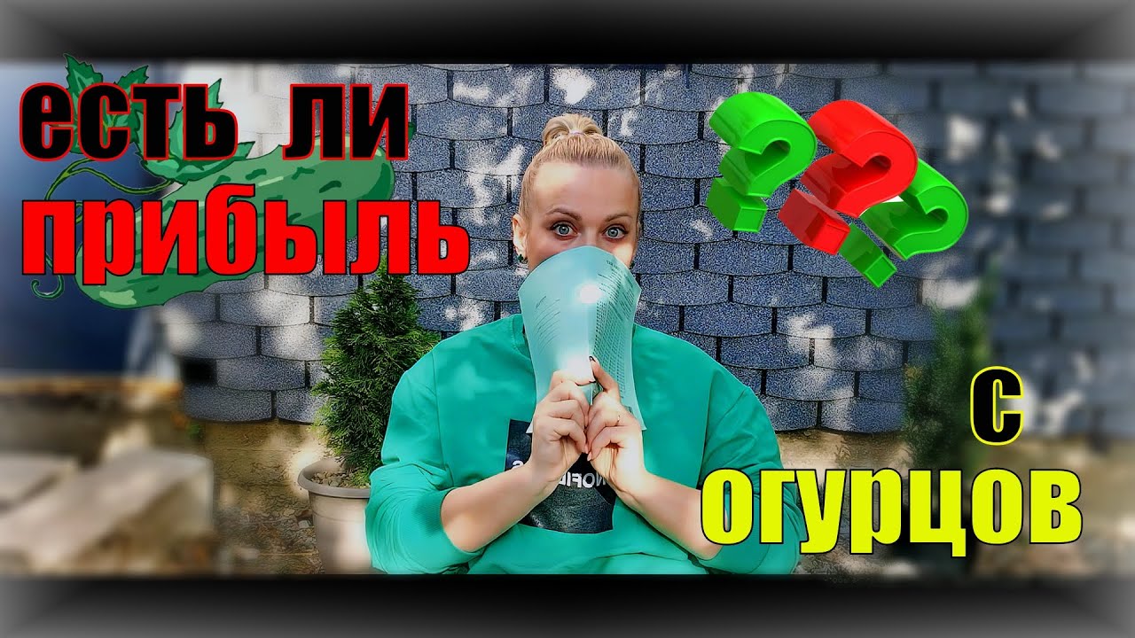 Сколько мы заработали на огурцах за месяц ?! Два оборота, ошибки и прибыль.