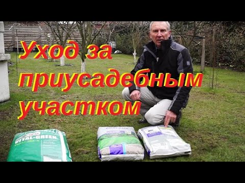 Приусадебный участок газон вносим кальк и удобрение