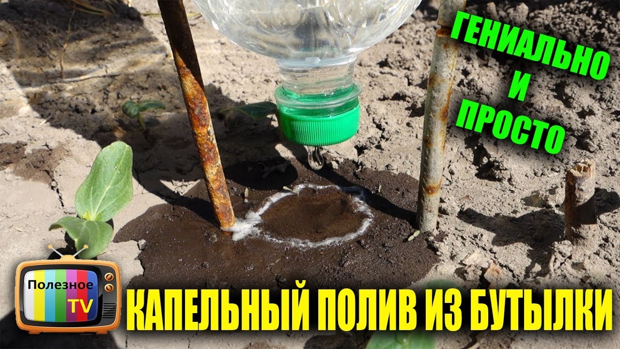 Не выбрасывайте пластиковые бутылки сделайте из них уникальный капельный полив