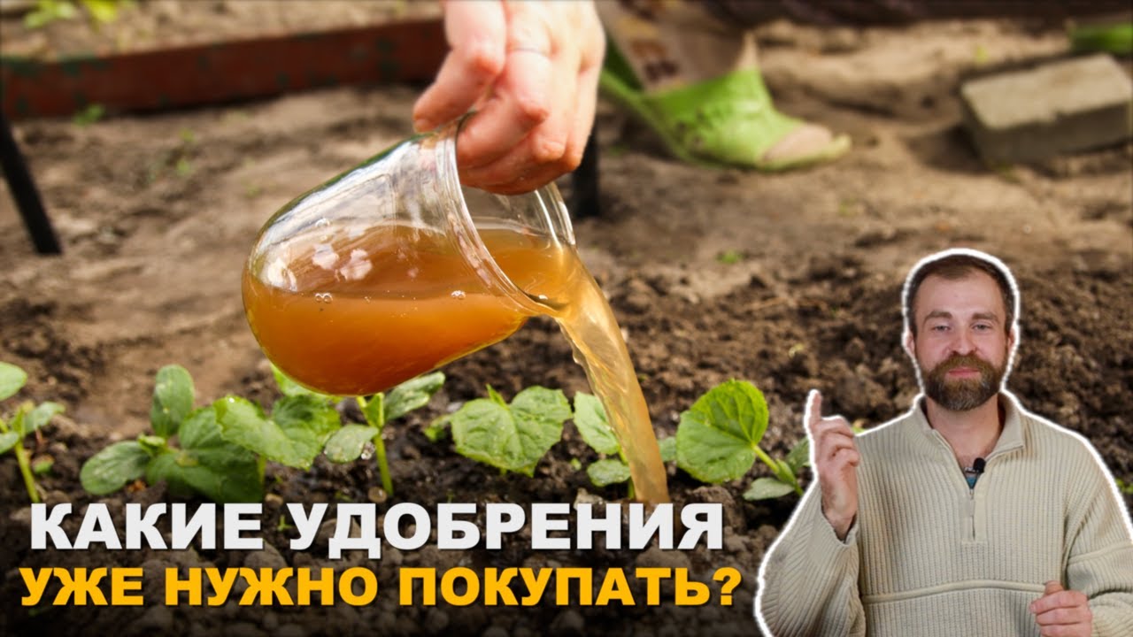 Какие удобрения нужны для огорода.