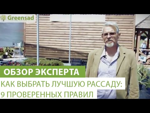 Как выбрать лучшую рассаду? 9 проверенных правил