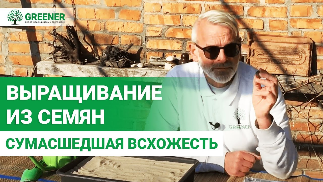 Как правильно выращивать плодовые из семян? ПРОВЕРЕННЫЕ СПОСОБЫ!