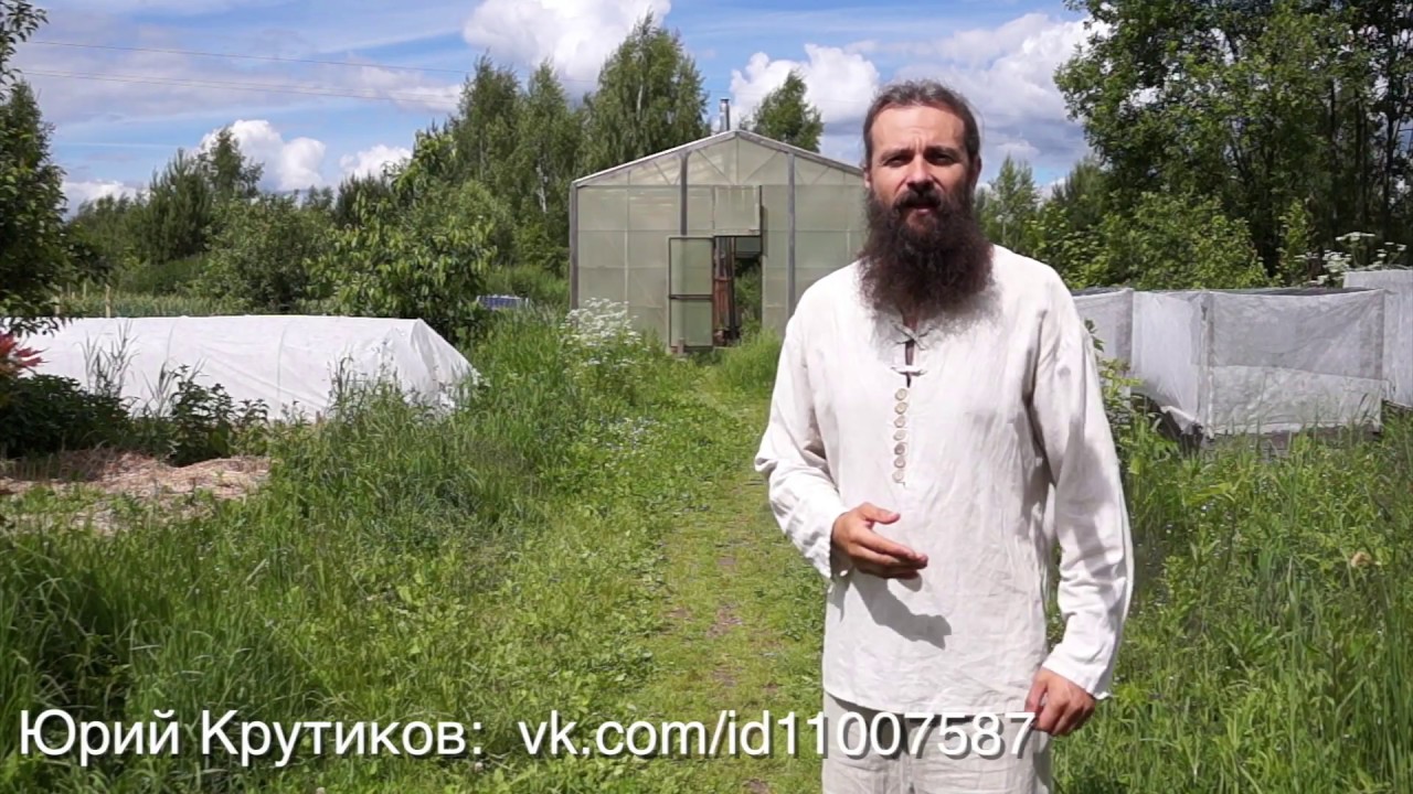 Выращивание овощей в открытом грунте и в теплице. Хранение. +бонус.