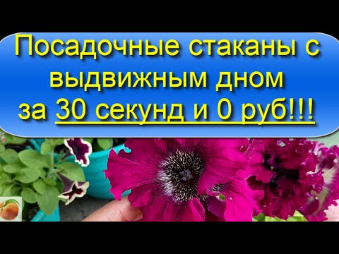 Посадочные стаканы с выдвижным дном за пару секунд ! особенно удобно для томатов!