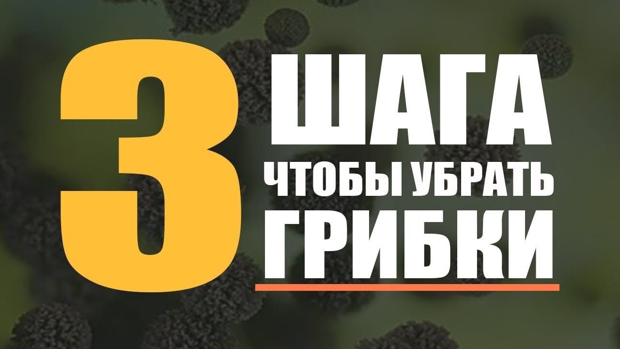 3 МЕТОДА ОЧИЩЕНИЯ ОТ ГРИБКОВ