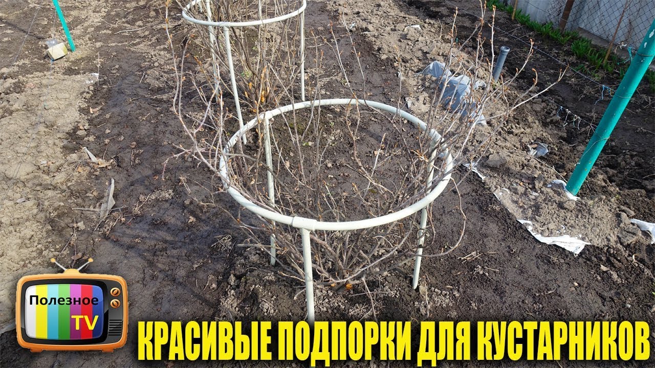 КРАСИВЫЕ ВЕЧНЫЕ ПОДПОРКИ ДЛЯ КУСТАРНИКОВ СВОИМИ РУКАМИ
