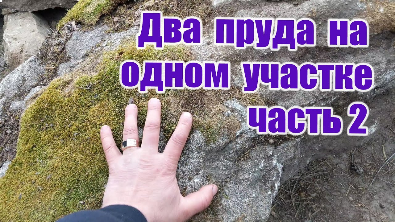 2 ПРУДА НА ОДНОМ УЧАСТКЕ ЧАСТЬ 2