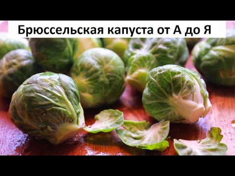 Брюссельская капуста от А до Я.