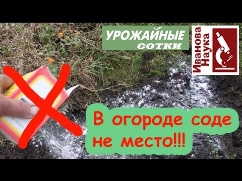 Гоните соду с огорода! Очередные косяки блогеров на огородную тематику