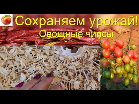 Заготовка овощей на зиму Сохраняем урожай Овощные чипсы Просто и вкусно! Сушим