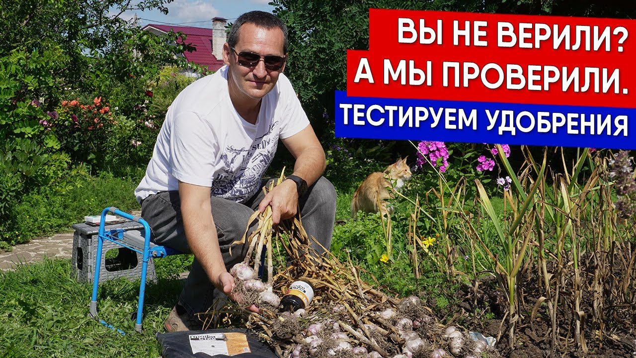 Вы не верили? А мы проверили. Тестируем удобрения
