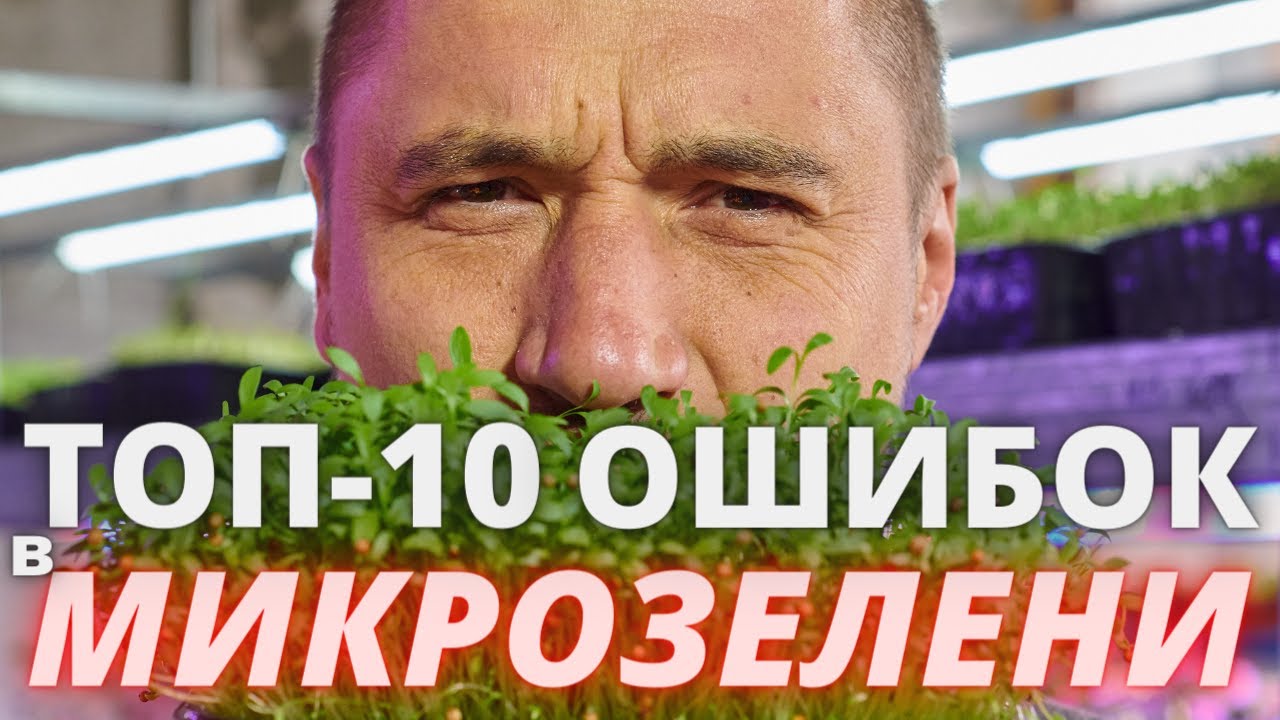 Микрозелень Как не надо делать ! ТОП 10 главных ошибок от Зеленого Шефа папы Микрозелени СНГ