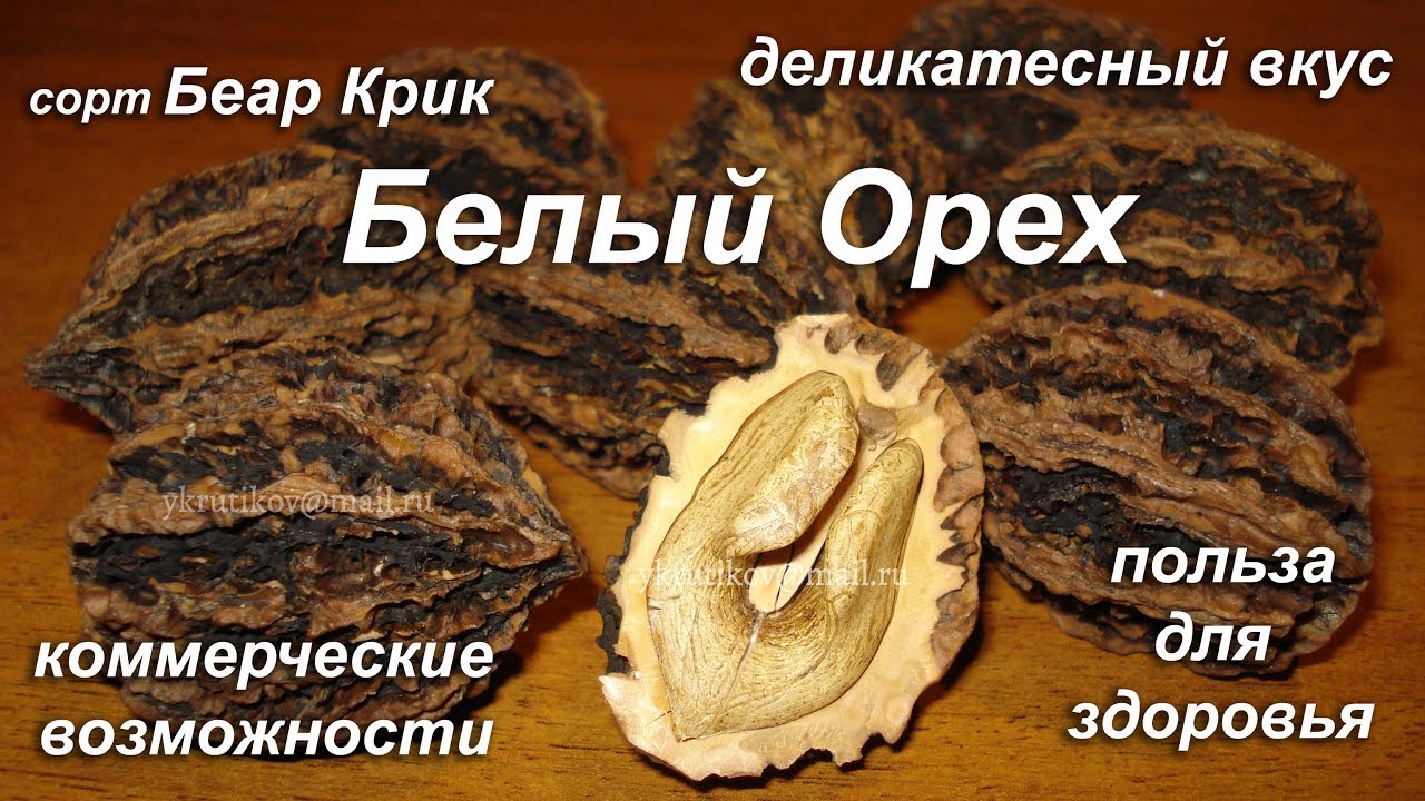 Белый Орех (он же серый))