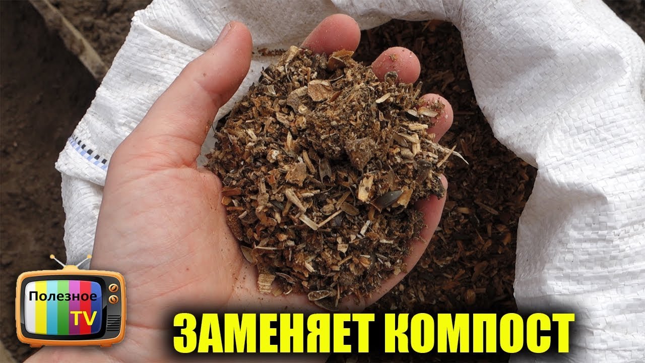 О вреде покупного компоста. Лучше копать, чем компост покупать! О вреде покупного компоста. Лучше копать, чем компост покупать!