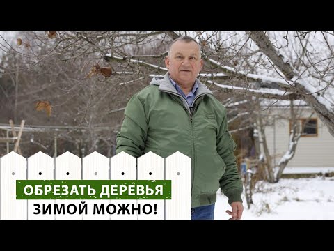 Можно ли обрезать деревья зимой? Экспертное мнение специалиста.
