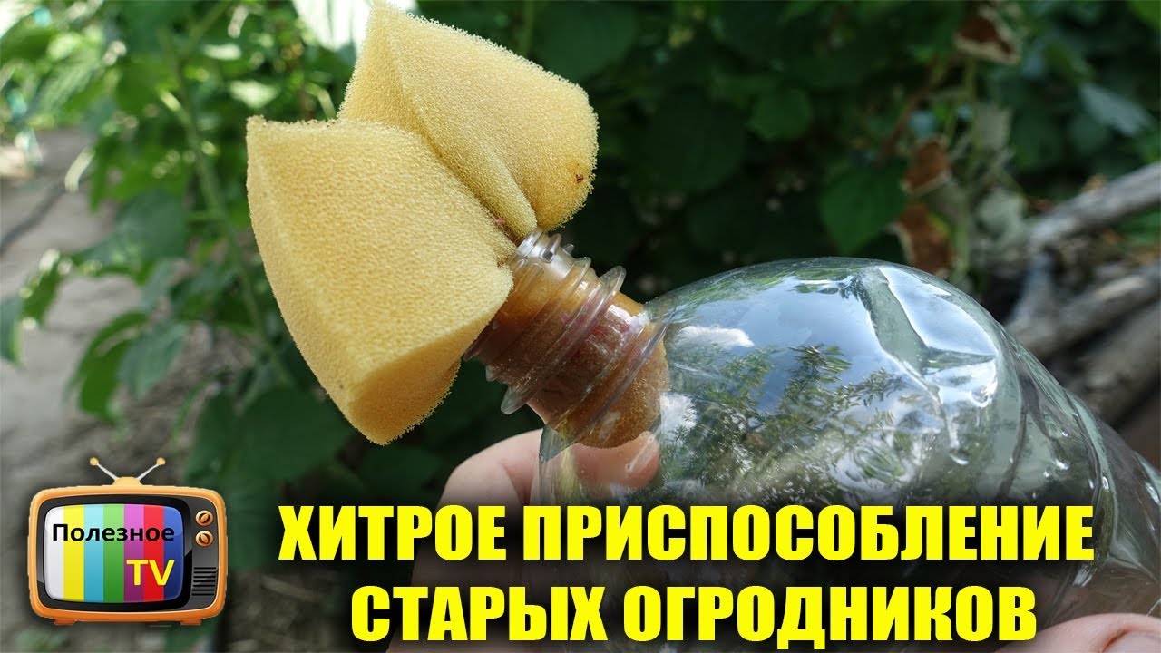 Капельный полив через поролон Капельный полив через поролон